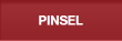 PINSEL
